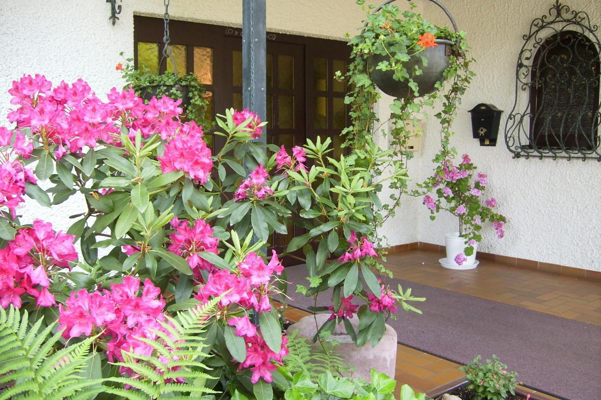Hotel Muehlenthal Gmbh Schwalbach Zewnętrze zdjęcie